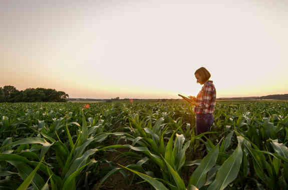 Consulenza su Misura
