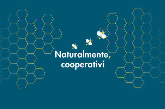 Progetto 3Bee visual